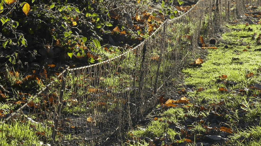 Longnetting for Rabbits
