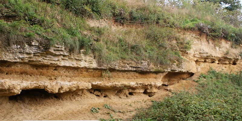 conservation 2