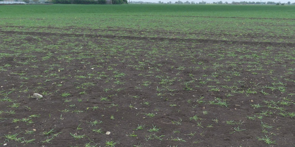 crop damage for farms