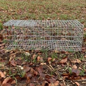 cage 1